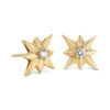 Shining Star Ear Studs