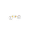 Freshwater White Pearl Ear Studs