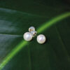 Freshwater White Pearl Ear Studs