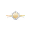 Hexa Ring