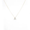 Single Letter Necklace