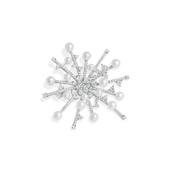 Exquisite Pearl Silver Starburst Brooche