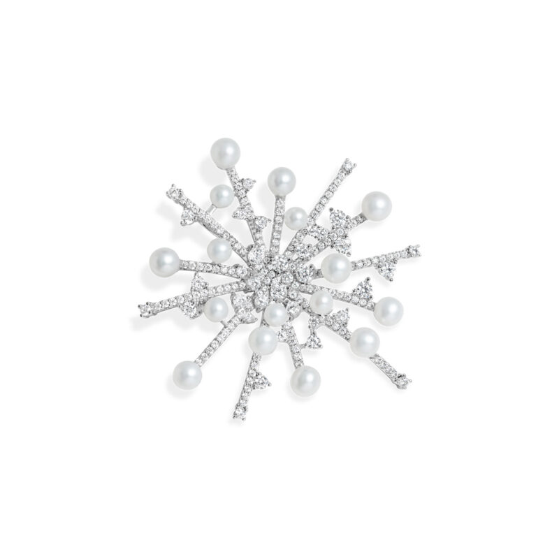 Exquisite Pearl Silver Starburst Brooche