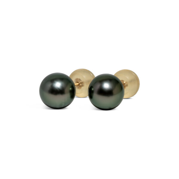 Tahitian Ear stud ( D )