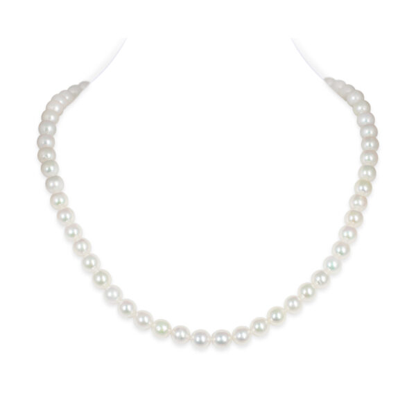 Jackie Akoya Pearl Necklace