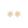 Snowflake Magic Earrings